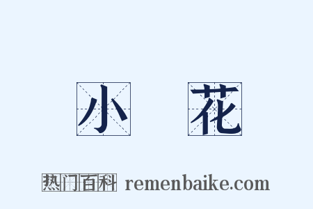 小黃花是什么意思的图片